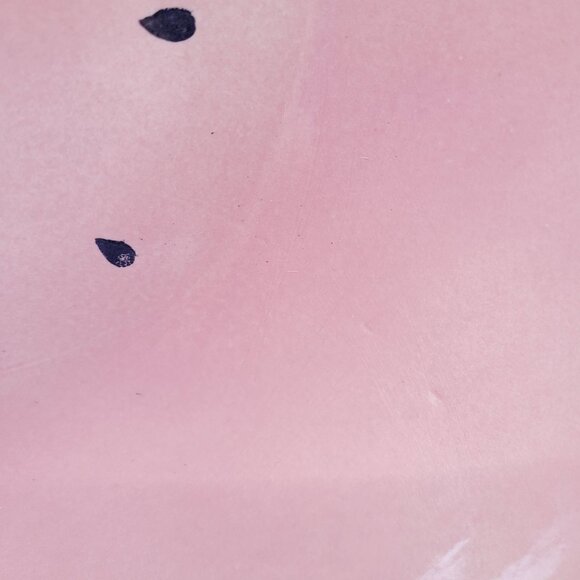 Watermelon Ceramic Serving Bowl 11 Inches Pink Green Summer Fruit Salads Snacks - Picture 8 of 12